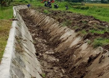 Saluran Irigasi Sekunder Desa SukaJadi - Lubuk Cemara Serdang Bedagai. (PenaTerkini.co.id)