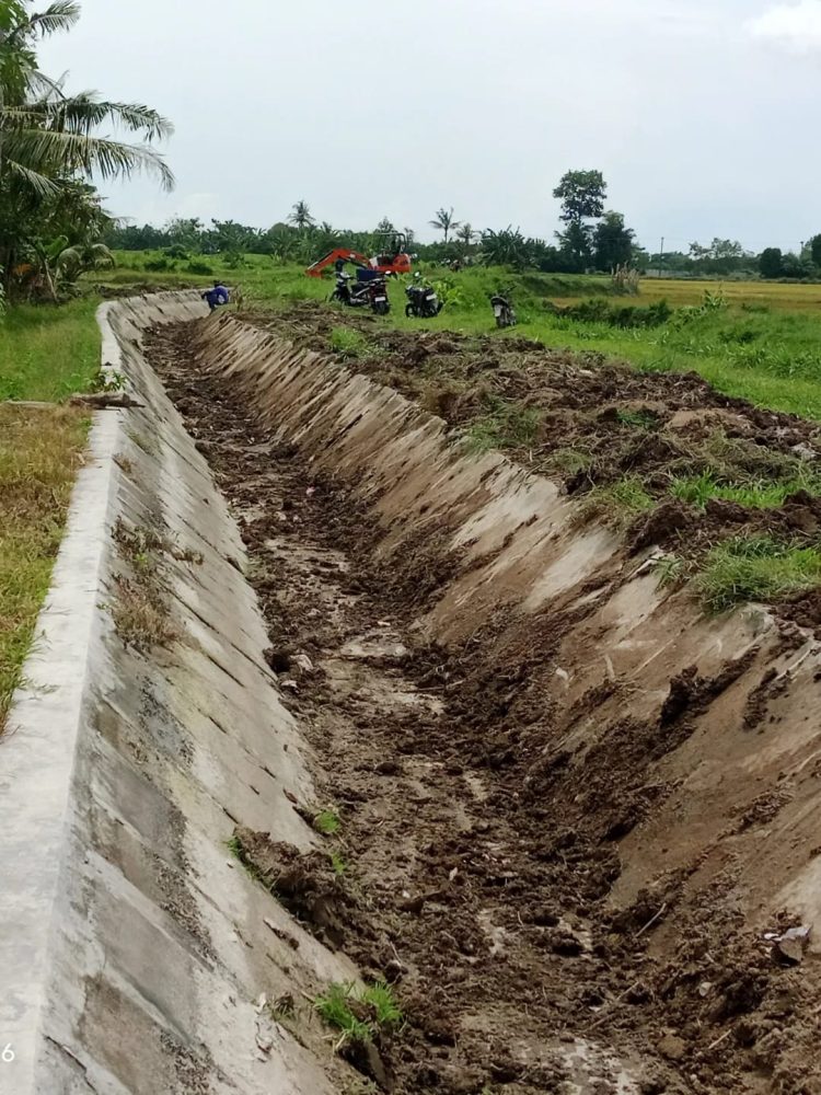 Saluran Irigasi Sekunder Desa SukaJadi - Lubuk Cemara Serdang Bedagai. (PenaTerkini.co.id)