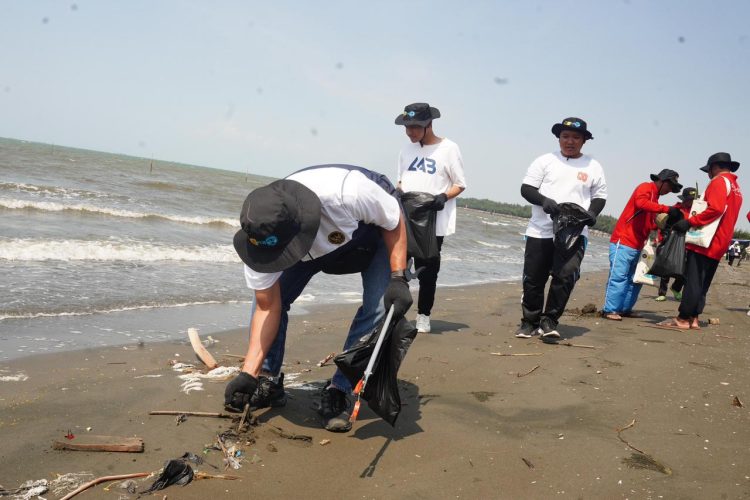 Para relawan mengambil sampah saat aksi bersih di Pantai Tirang, Semarang. Selain aksi tersebut, dilakukan juga penanaman bibit mangrove di sekitar lokasi. Di tahun ini, hingga Oktober 2025, PLN bersama masyarakat telah menanam sebanyak 218.179 bibit dan berhasil merehabilitasi 158 hektare lahan mangrove yang tersebar di seluruh wilayah Indonesia. (Divkom PLN Pusat)