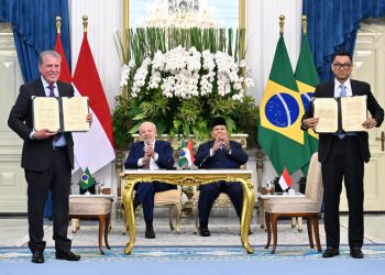 Kerja sama ini memiliki makna strategis di tengah upaya Indonesia meningkatkan pemanfaatan potensi besar energi air. Dalam Rencana Usaha Penyediaan Tenaga Listrik (RUPTL) 2025–2034, Pemerintah menargetkan penambahan kapasitas pembangkit listrik tenaga air sebesar 11,7 gigawatt (GW) dalam satu dekade mendatang. (BPMI Setpres)